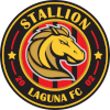 Stallion Laguna FC