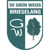 SV Grun-Weiss Brieselang