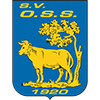 SV Oss '20