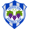 Tochigi City