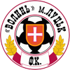 Volyn Lutsk Reserves