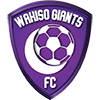 Wakiso United