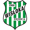 Wisloka Debica