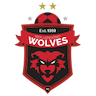 Wollongong Wolves