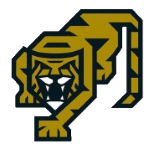 Gen.G Tigers Esports