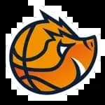 Akademia Mlodych Dzikow U17