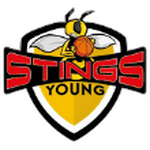 Escudo do STING