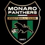 Escudo do Monaro Panthers