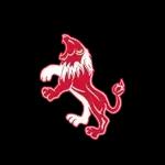 Escudo do Ariana FC