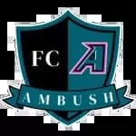 Saint Louis Ambush