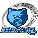 Escudo do Broadbridge Heath