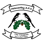Holsworthy AFC