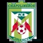 Chapulineros de Oaxaca II