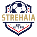 ACS Viitorul Strehaia