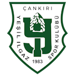 Yeşilılgazspor