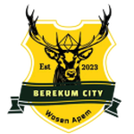 Berekum City FC