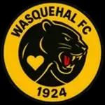 Escudo do Wasquehal