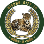 Escudo do Riacho City