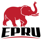 Eastern Province Elephants